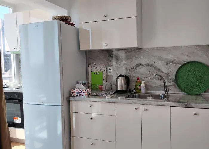 Level 5 布尔加斯